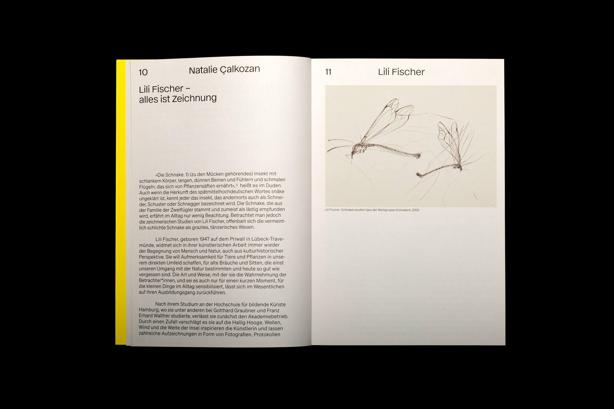 Layout mit Künstler Zeichnung und Text / Layout with artist drawing and text